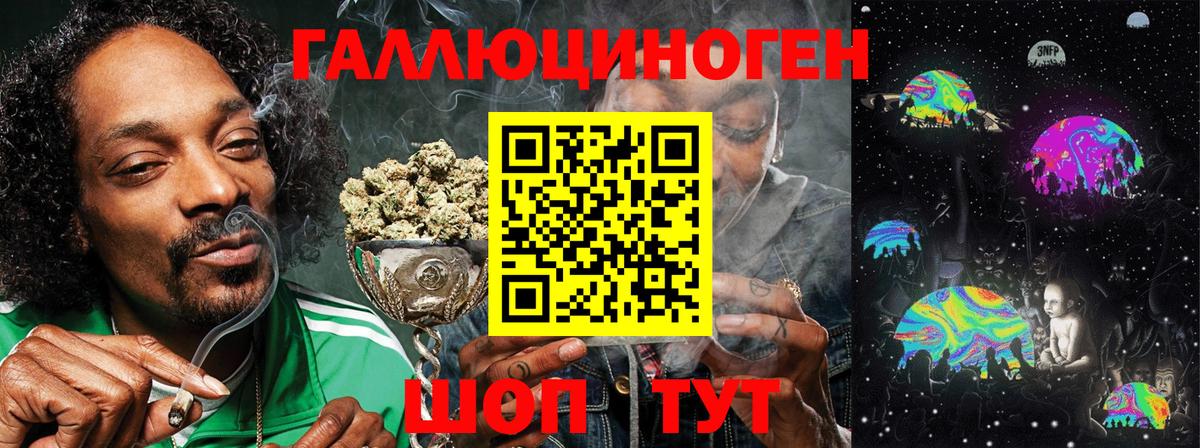 Галлюциногенные грибы Psilocybine cubensis Дмитров